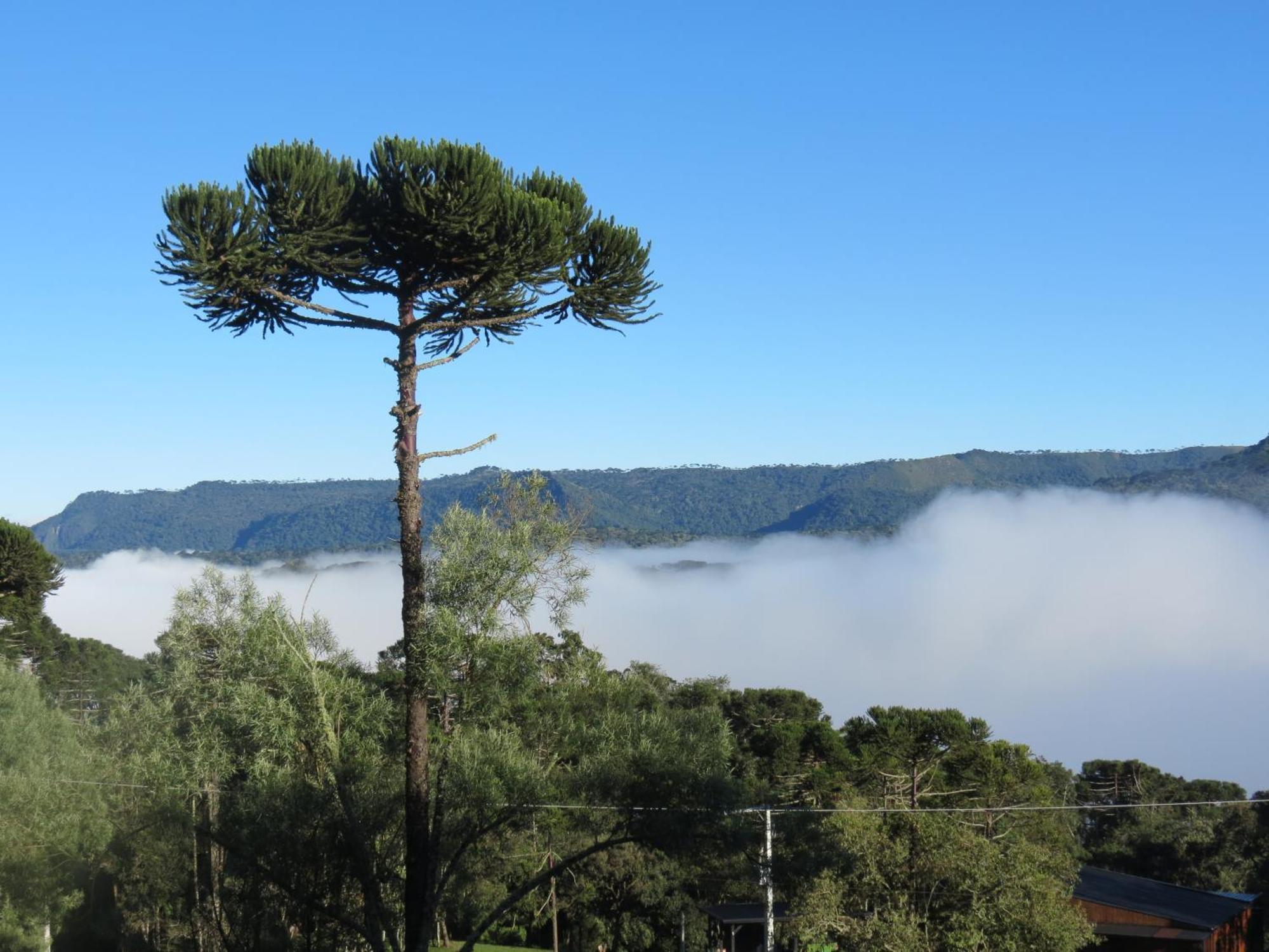 Refugio Da Montanha Villa Urubici Buitenkant foto